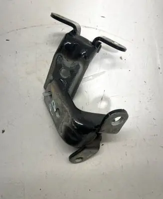 KIA Sorento Front door lower hinge 