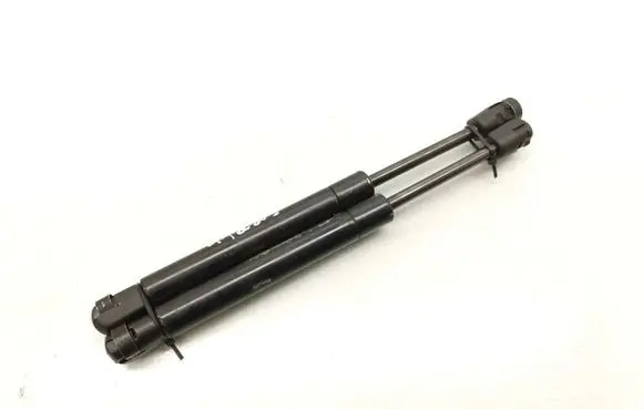 Tailgate/trunk strut/damper