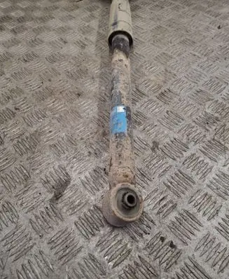 Rear shock absorber/damper