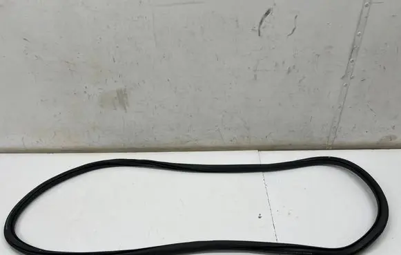 Opel Grandland X Rear door rubber seal (on body) 9846995580