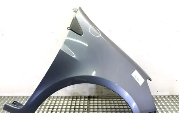 Renault Clio III Fender