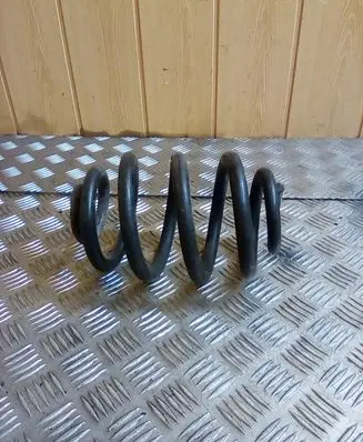 Rear coil spring