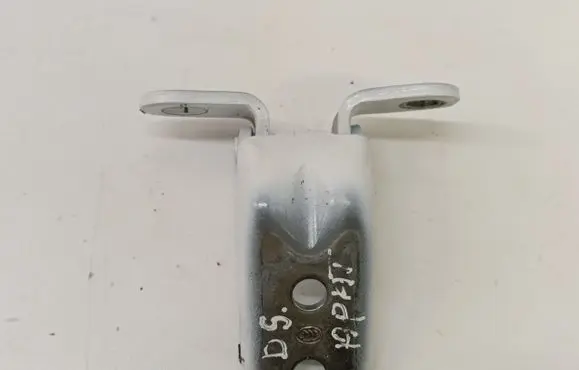 Rear door lower hinge