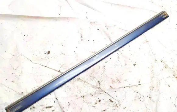 Front door trim (molding)