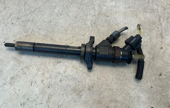 Citroen C4 I Picasso Fuel injector 0445110311 620033