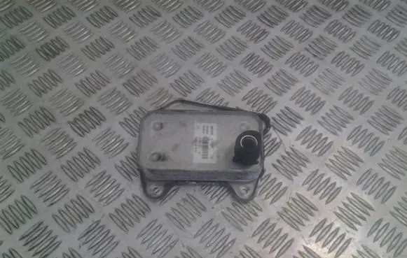 Mercedes-Benz Sprinter W906 Oil filter mounting bracket A6461880301