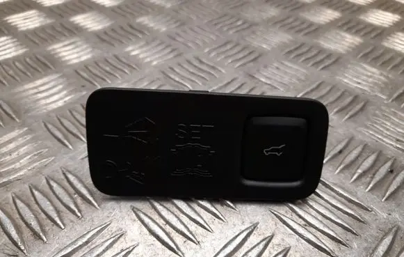 Tailgate opening switch
