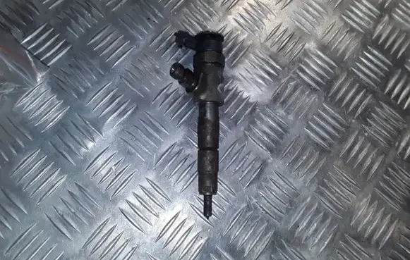 Citroen C3 Picasso Fuel injector 0445110340