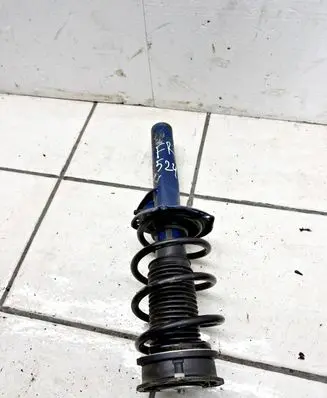 Volkswagen Tiguan Front shock absorber with coil spring 1266230019 10K22
