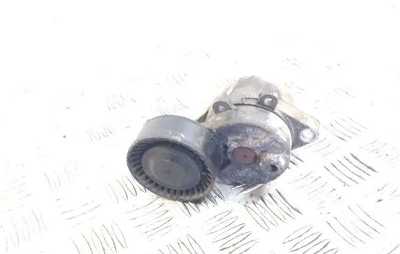 BMW 3 E46 Generator/alternator belt tensioner