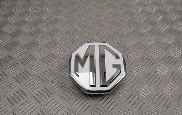 MG ZS Loading door exterior handle 20211218