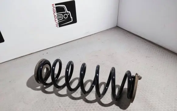 Volkswagen Tiguan Rear coil spring GS0723 CS1138