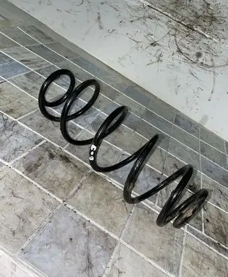 Citroen C3 Rear coil spring