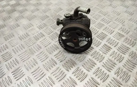 Mitsubishi Grandis Power steering pump