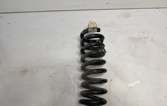 Dodge Challenger Rear coil spring 25591F