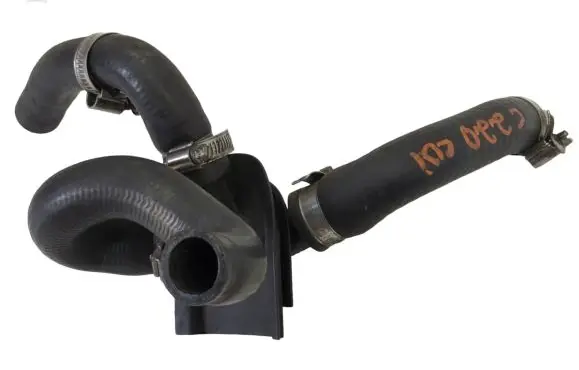 Mercedes-Benz S W220 Engine coolant pipe/hose A2028300096 4228194 6254121518P