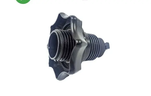 Audi A1 Spare wheel bolt 2G0803899A