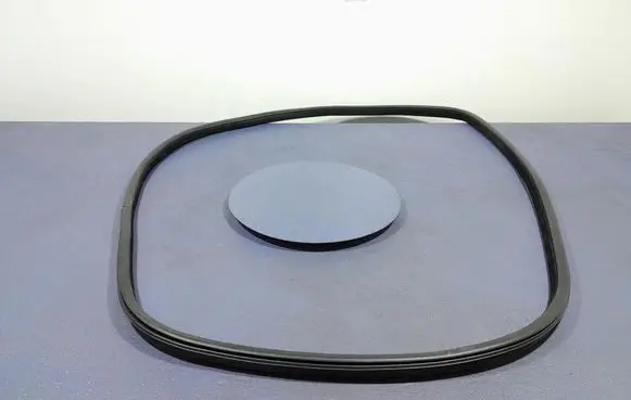 BMW X6 M Front door rubber seal 7317823