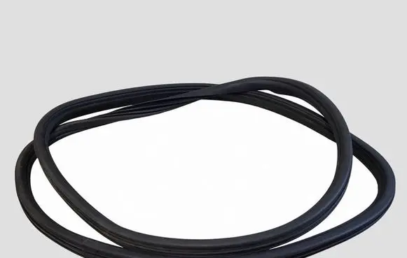 Cadillac CTS Front door rubber seal 25680753