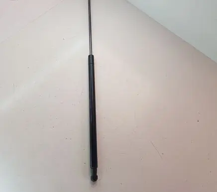 Nissan Juke I F15 Tailgate strut 904501KA1B