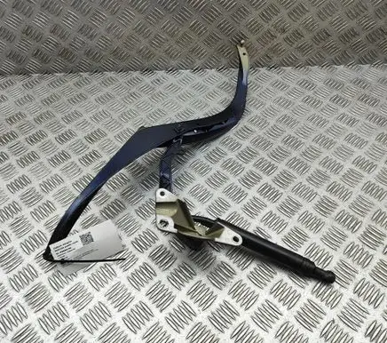 Porsche Boxster 987 Tailgate/trunk/boot hinge 98756158001 98756157200