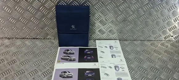 Peugeot 308 User manual 