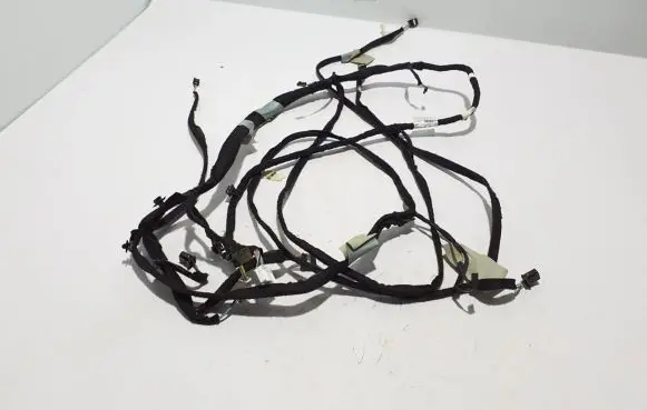 Renault Scenic IV - Grand scenic IV Other wiring loom 241604983R