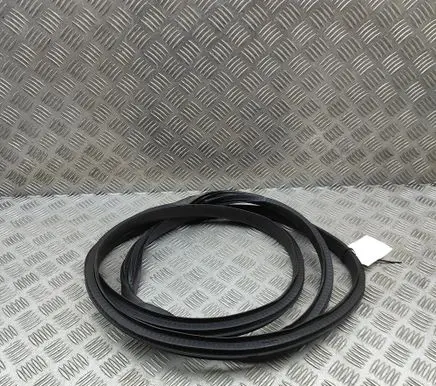 Renault Austral Rubber seal front coupe door 808399810R