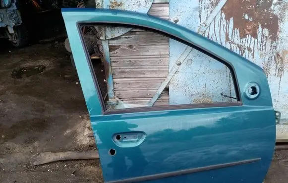 Fiat Punto (188) Front door