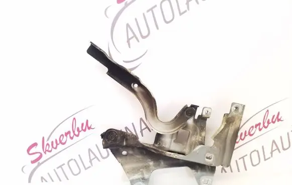Renault Express Engine bonnet/hood hinges 654001238R 663403521R