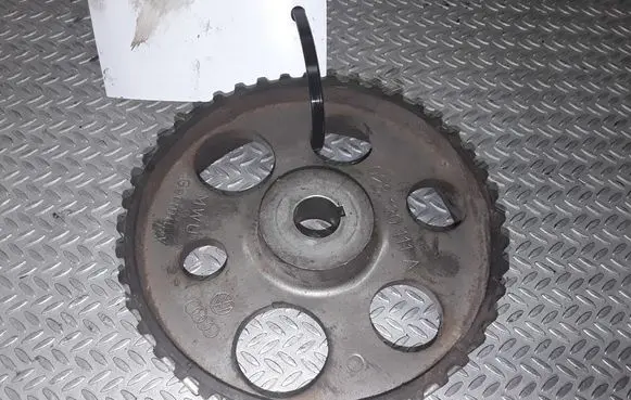 Volkswagen PASSAT B5 Fuel pump gear (pulley) 02813011A