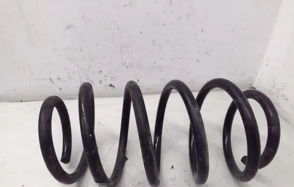 Front coil spring