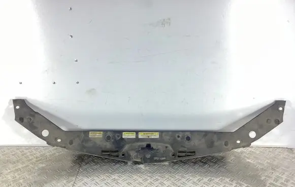 Engine bonnet/hood lock trim molding