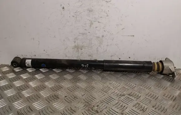 Ford Ecosport Rear shock absorber/damper