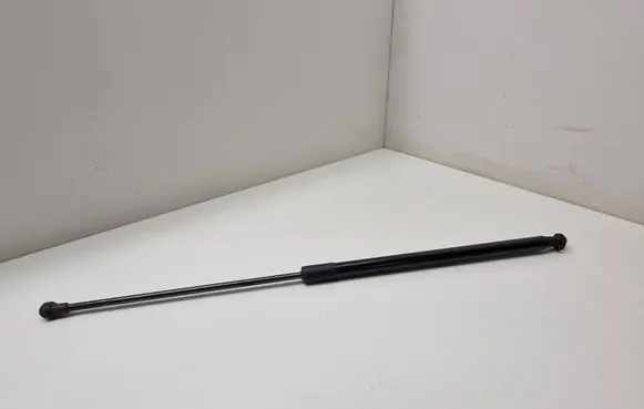 Tailgate/trunk strut/damper