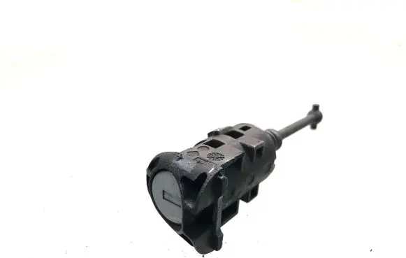 Renault Scenic II - Grand scenic II Coupe door lock (next to the handle) N0501455 172044