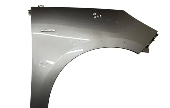 Renault Scenic III - Grand scenic III Fender