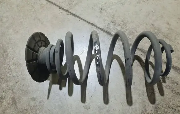Rear coil spring