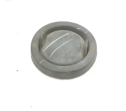 Ford Mustang VI Headlight/headlamp dust cover