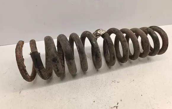Rear coil spring