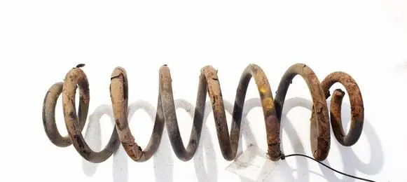 Volkswagen Tiguan Rear coil spring 