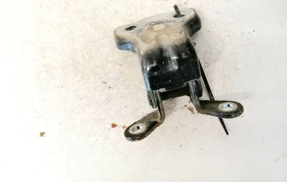 Chevrolet Captiva Rear door lower hinge