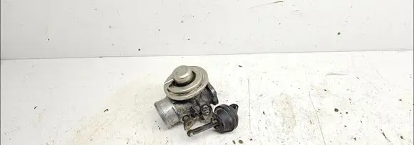 EGR valve