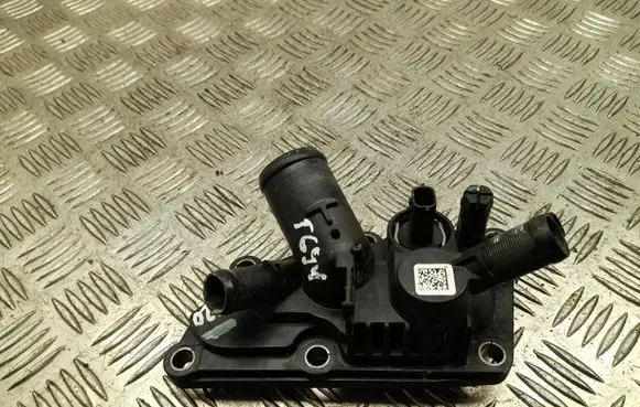 Thermostat/thermostat housing