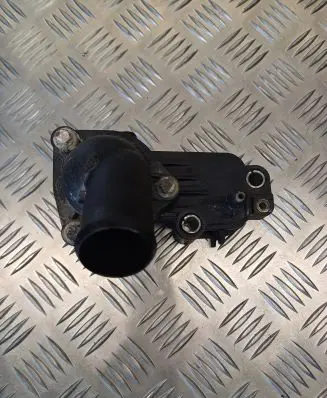 Thermostat/thermostat housing