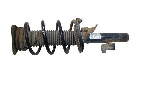 Ford C-MAX I Front shock absorber/damper 313283 824903008260 111500313283