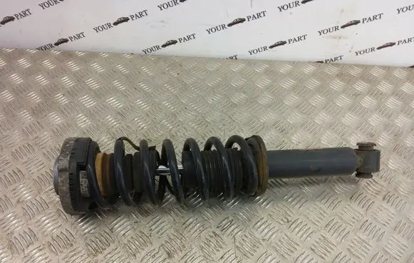 BMW X3 F25 Rear shock absorber with coil spring 6796317