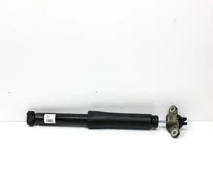 Ford Escape III Rear shock absorber/damper LX118080NBE