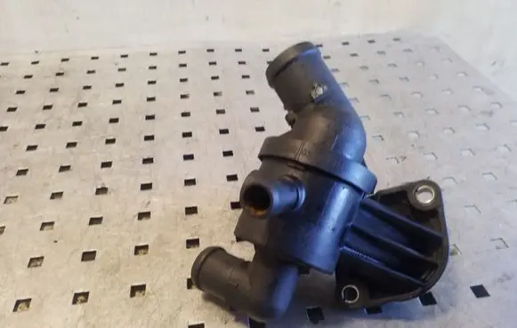 Thermostat/thermostat housing
