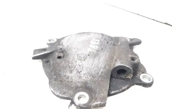 Renault Espace - Grand espace IV Timing chain cover 8200006884